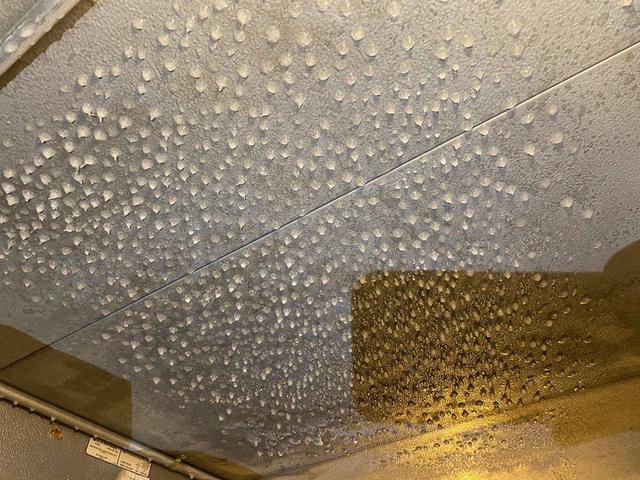Frozen droplets across the ceiling surface.
