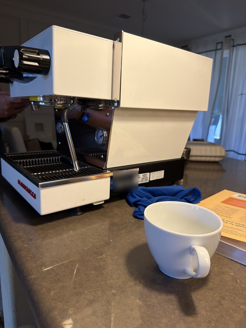 La Marzocco Linea Mini With Low Pressure in San Jose, CA: Heavy Scale, New Pressurestat and Gauges