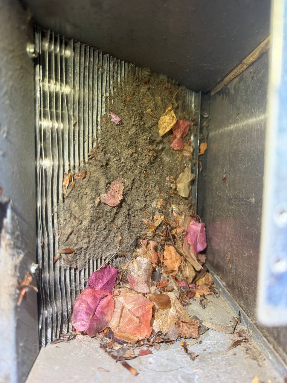 Outdoor Undercounter Ice Maker repair in Los Altos Hills, CA by ADRIUM — photo 1