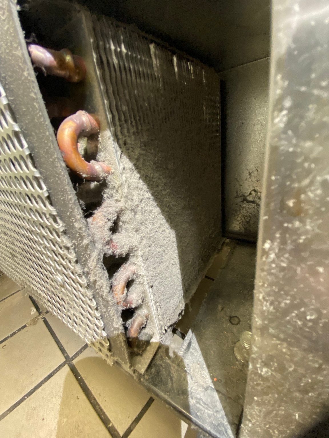 Dust on the condenser fins and tubing of a True prep table.